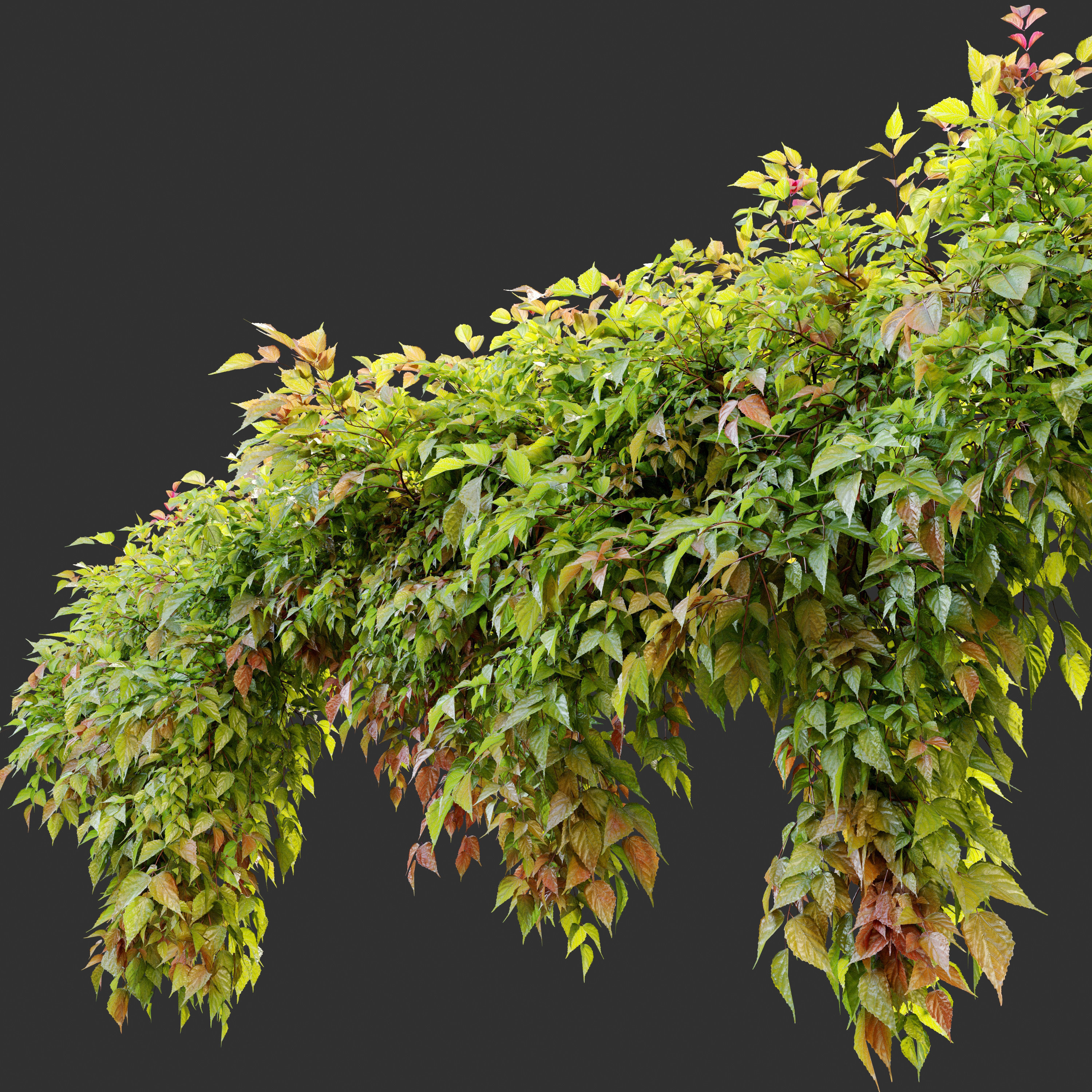 Hanging Plant 18 3D model_1