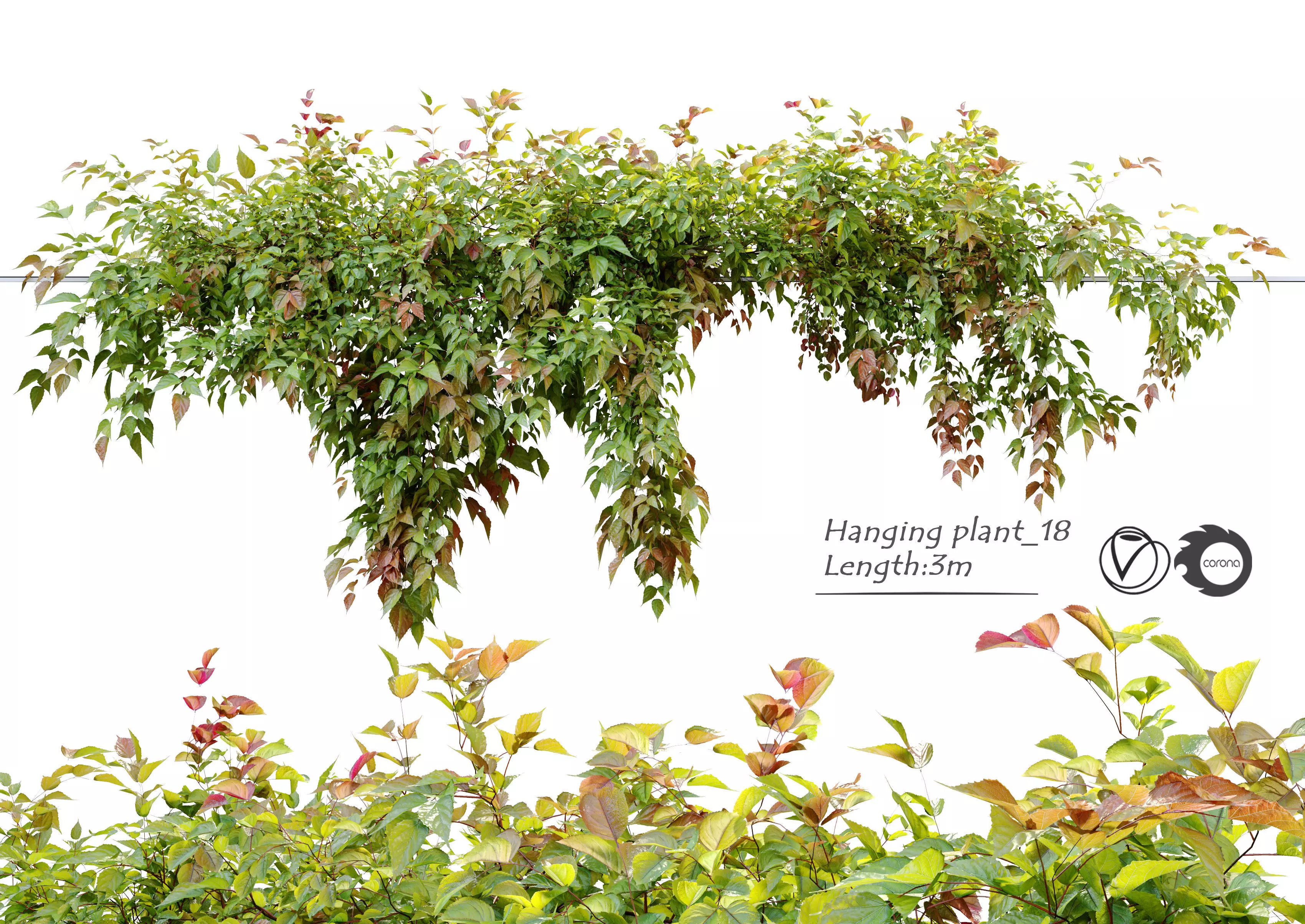 Hanging Plant 18 3D model_0