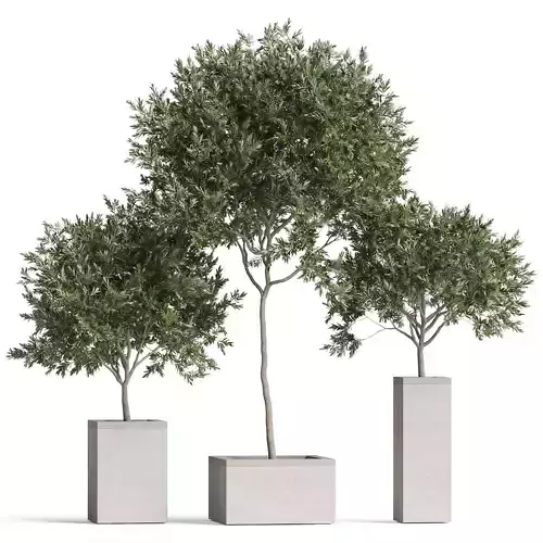 Plants collection 769 3D model