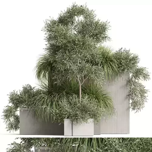 Plants collection 770