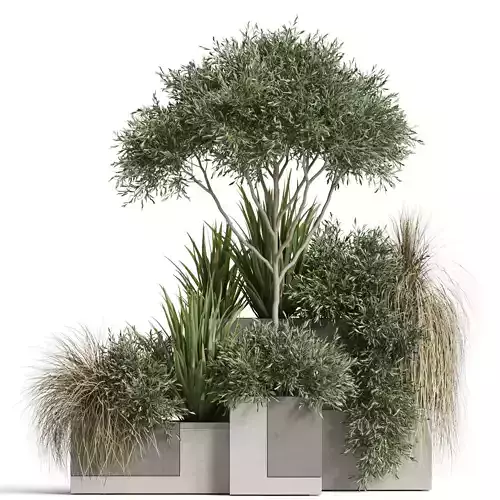 Plants collection 771