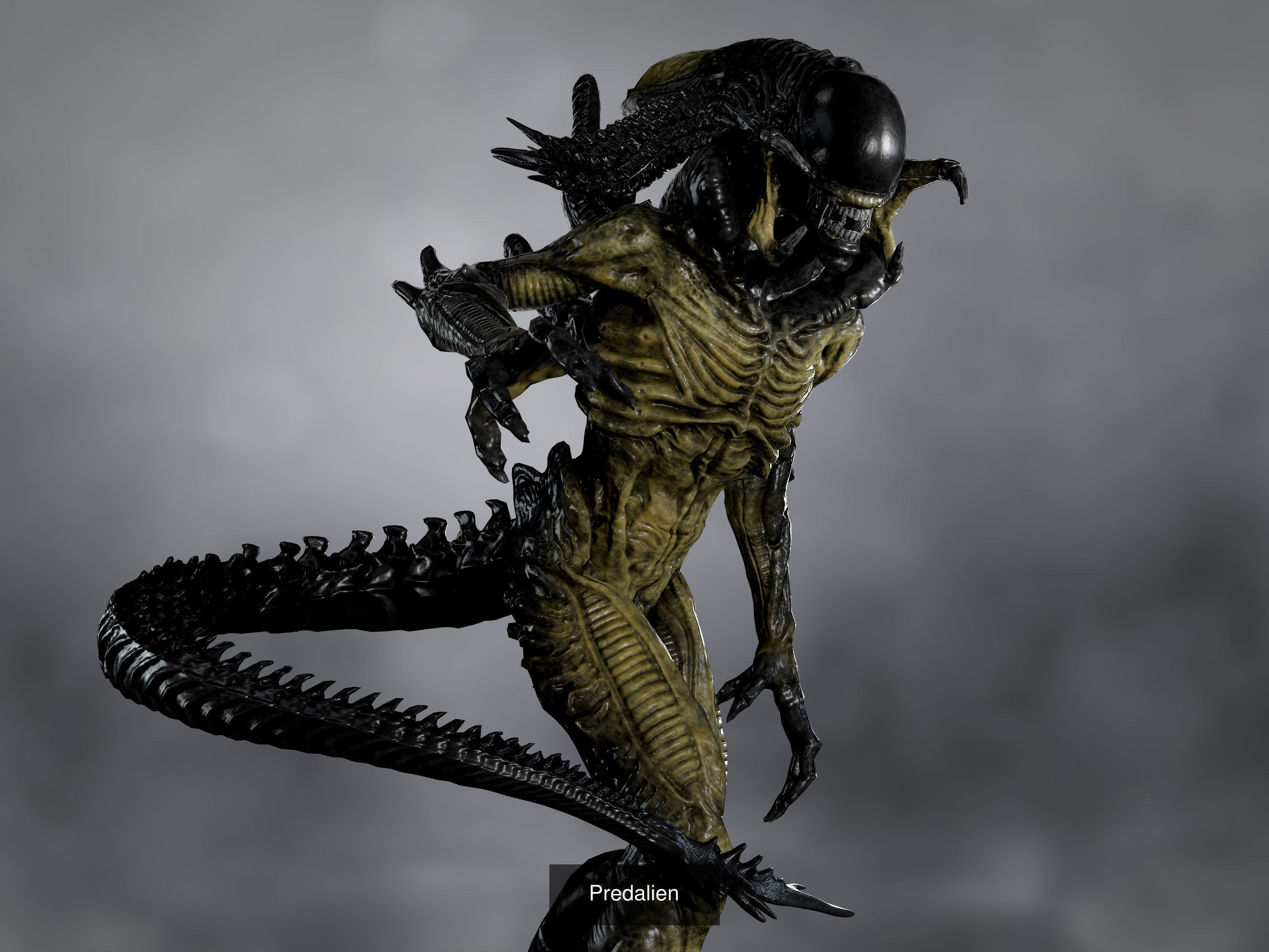 Predators pack 3D Model Collection_3