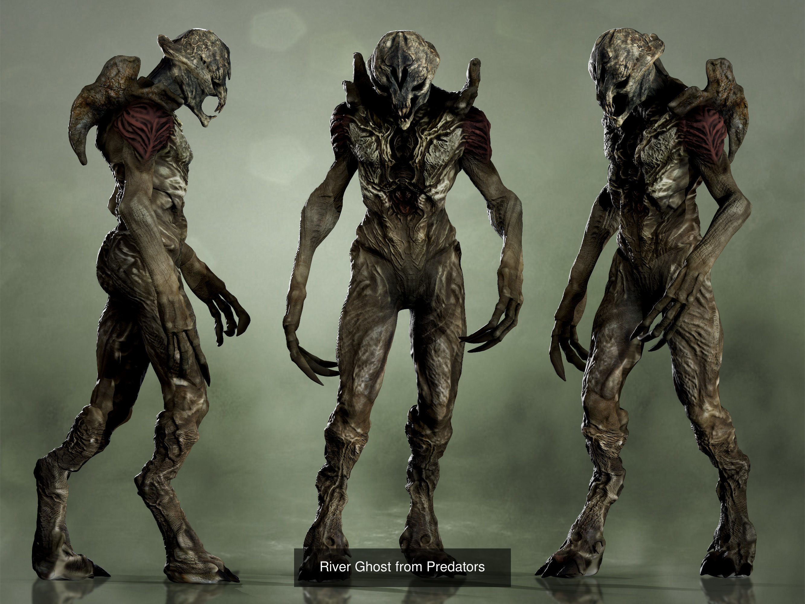 Predators pack 3D Model Collection_4