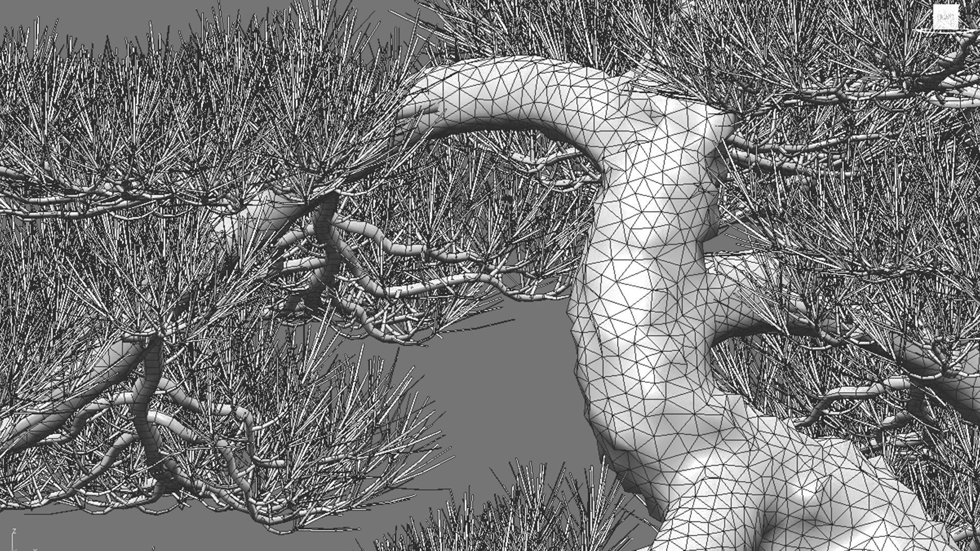 Pinus sylvestris - Scotch Pine - 02 3D model_8