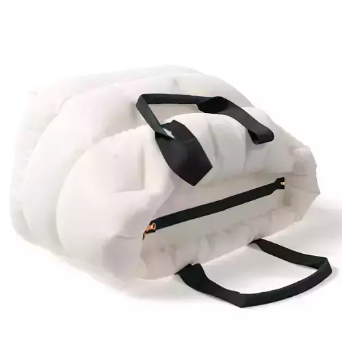 Moncler Caradoc Tote Bag pose 02