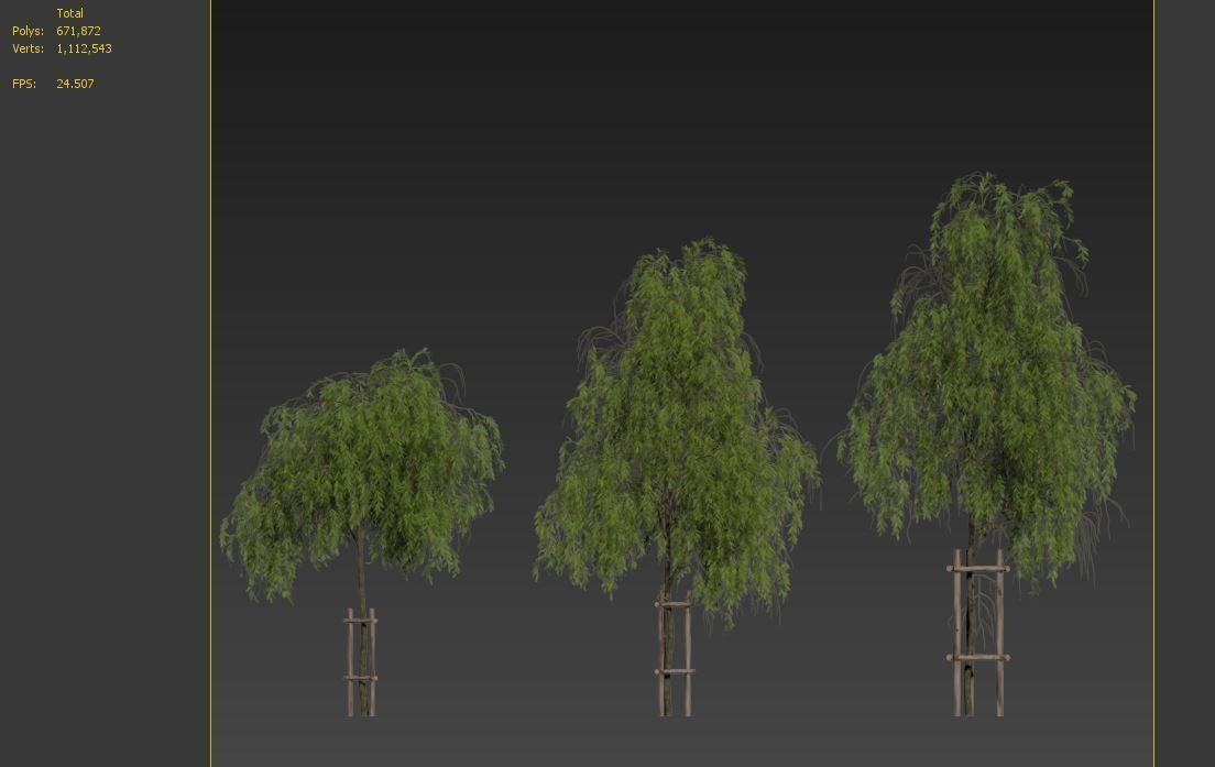 Weeping willow 4 3D model_7