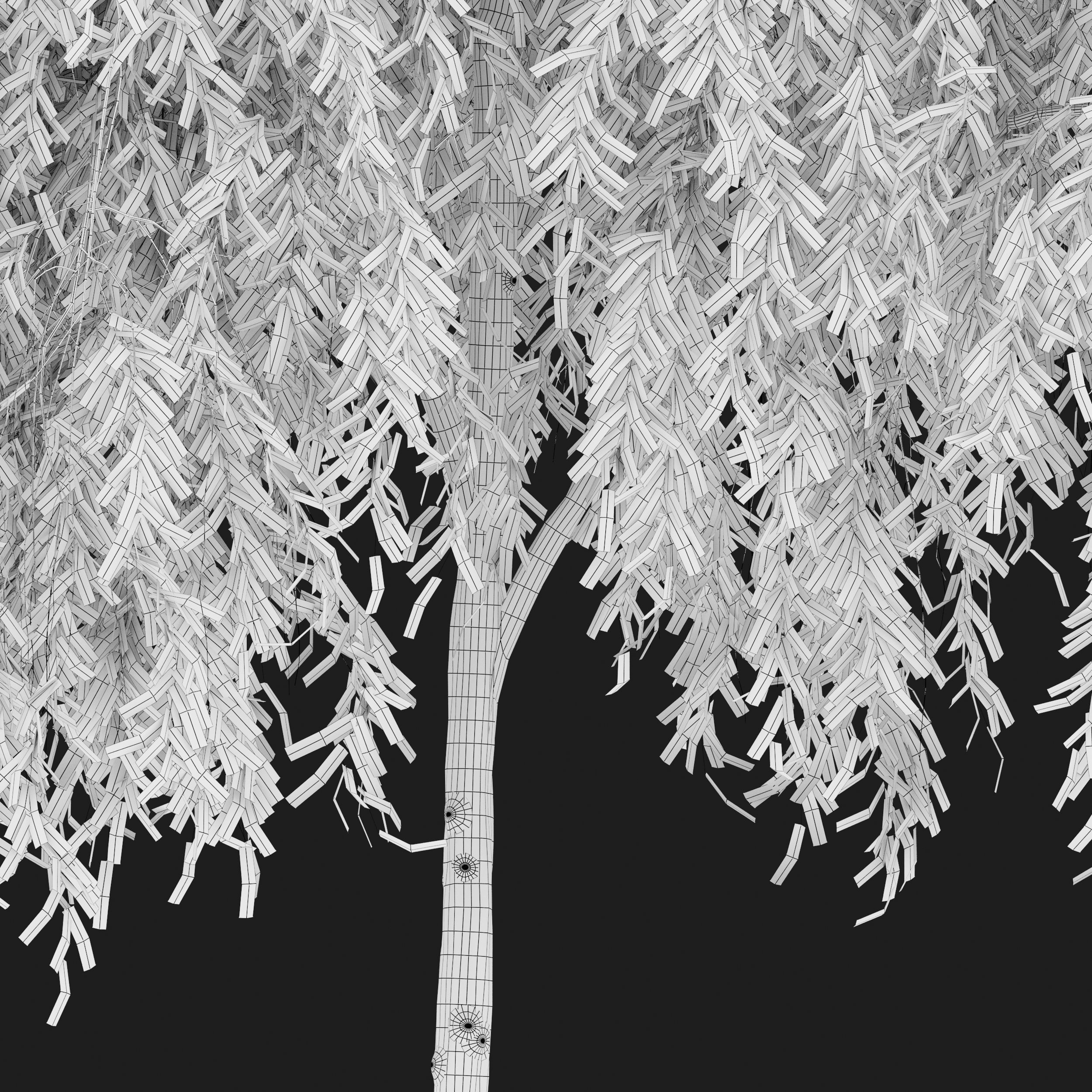 Weeping willow 4 3D model_6