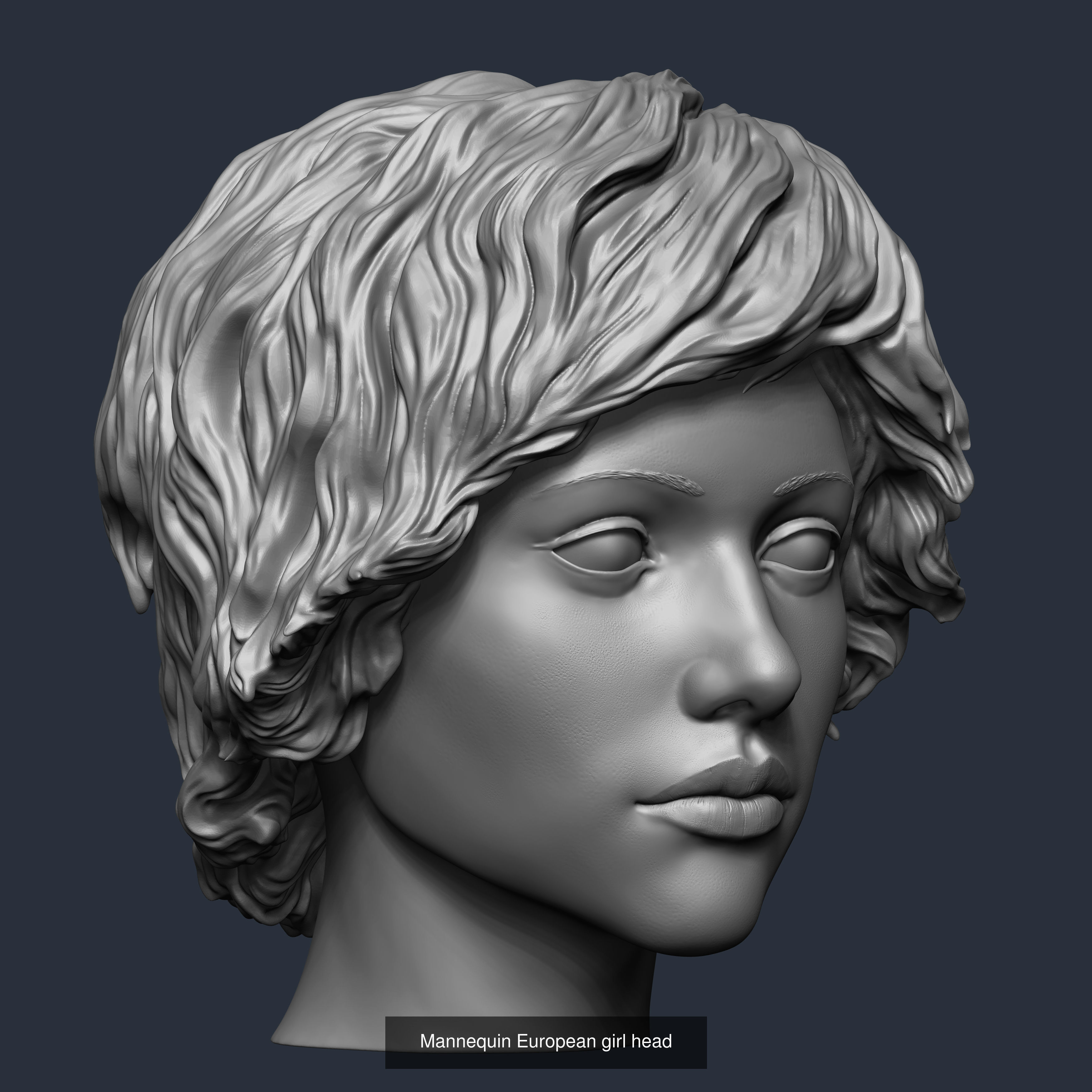 Mannequin heads 3D Model Collection_5
