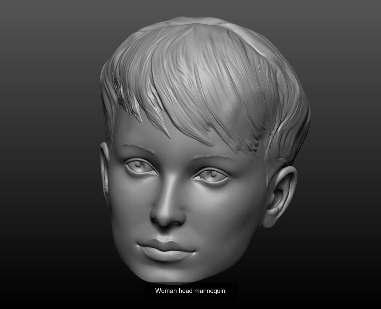 Mannequin heads 3D Model Collection_4
