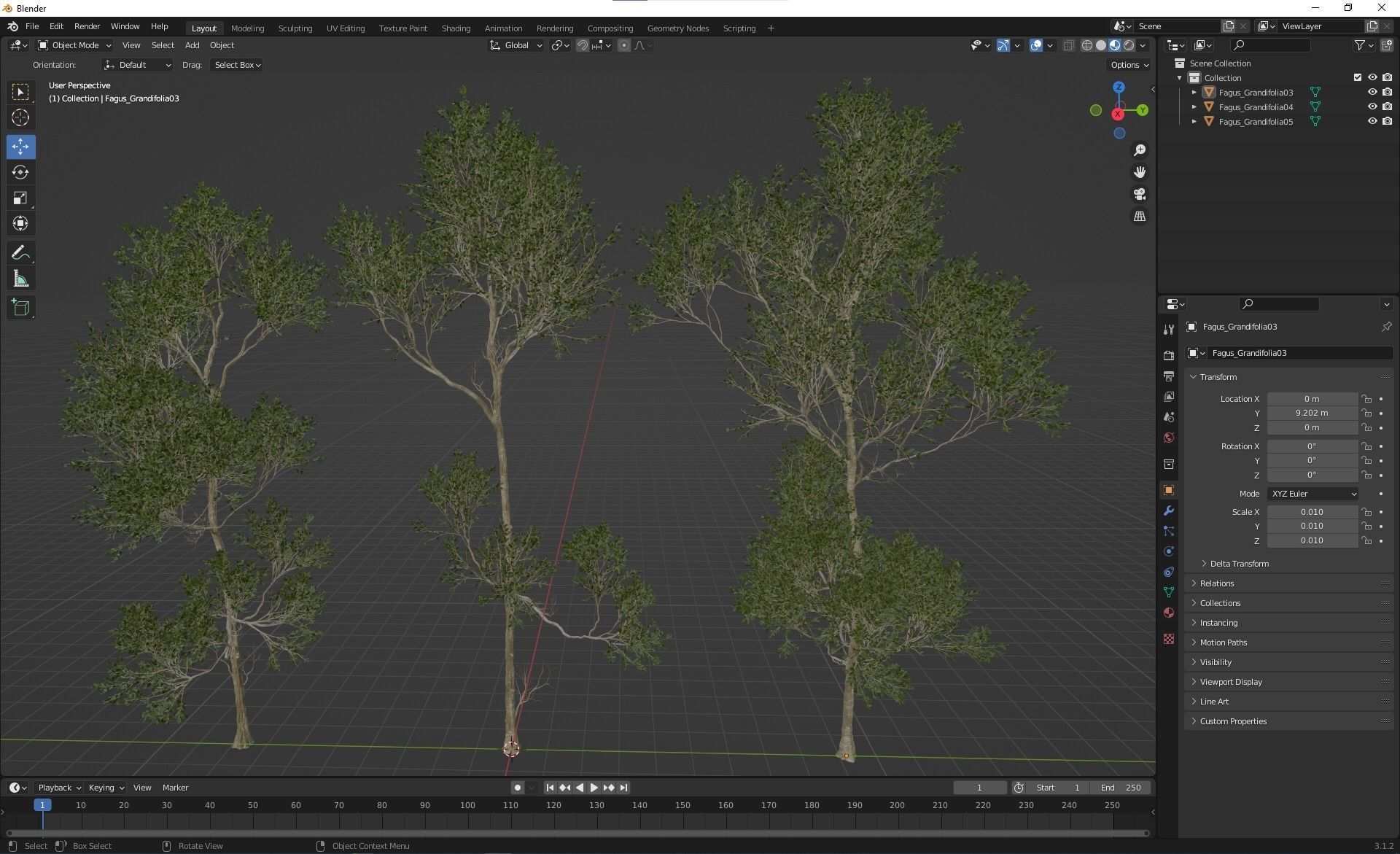 New Plant High detail Fagus Grandifolia03 3D model_4