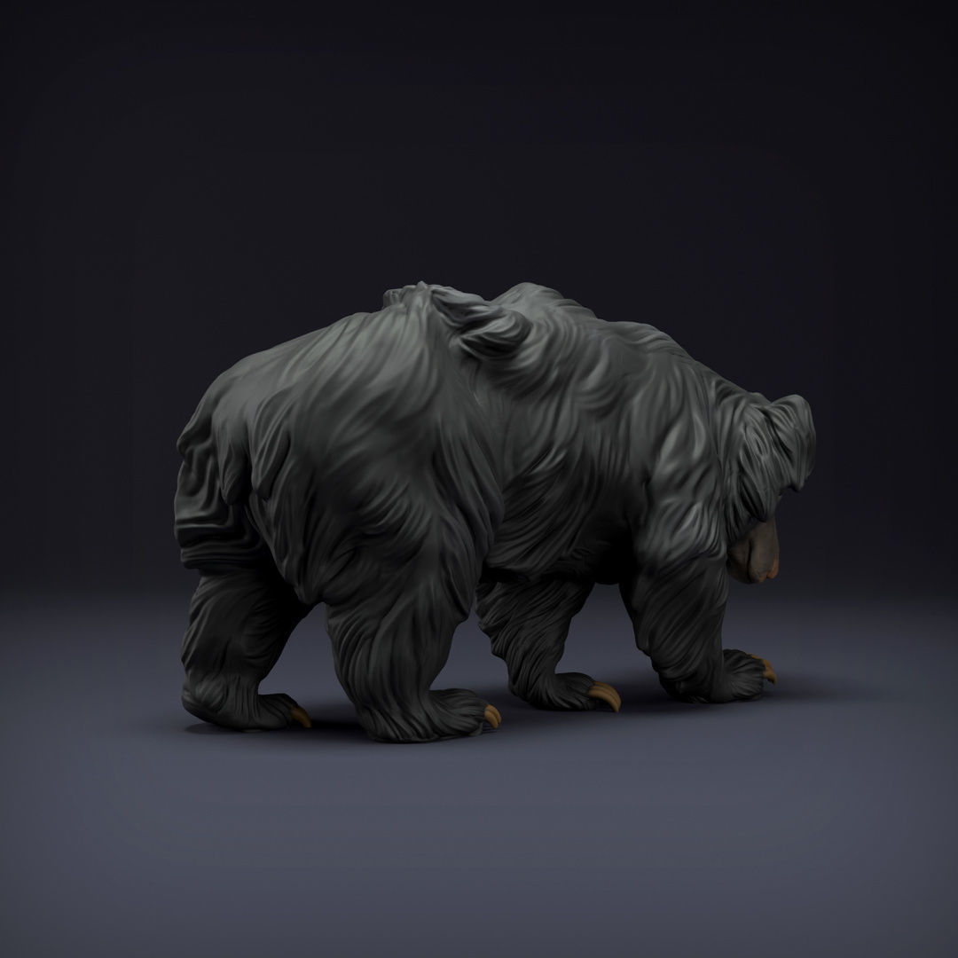 Sloth Bear for 3D Printing 3D print model_2