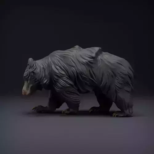 Sloth Bear for 3D Printing