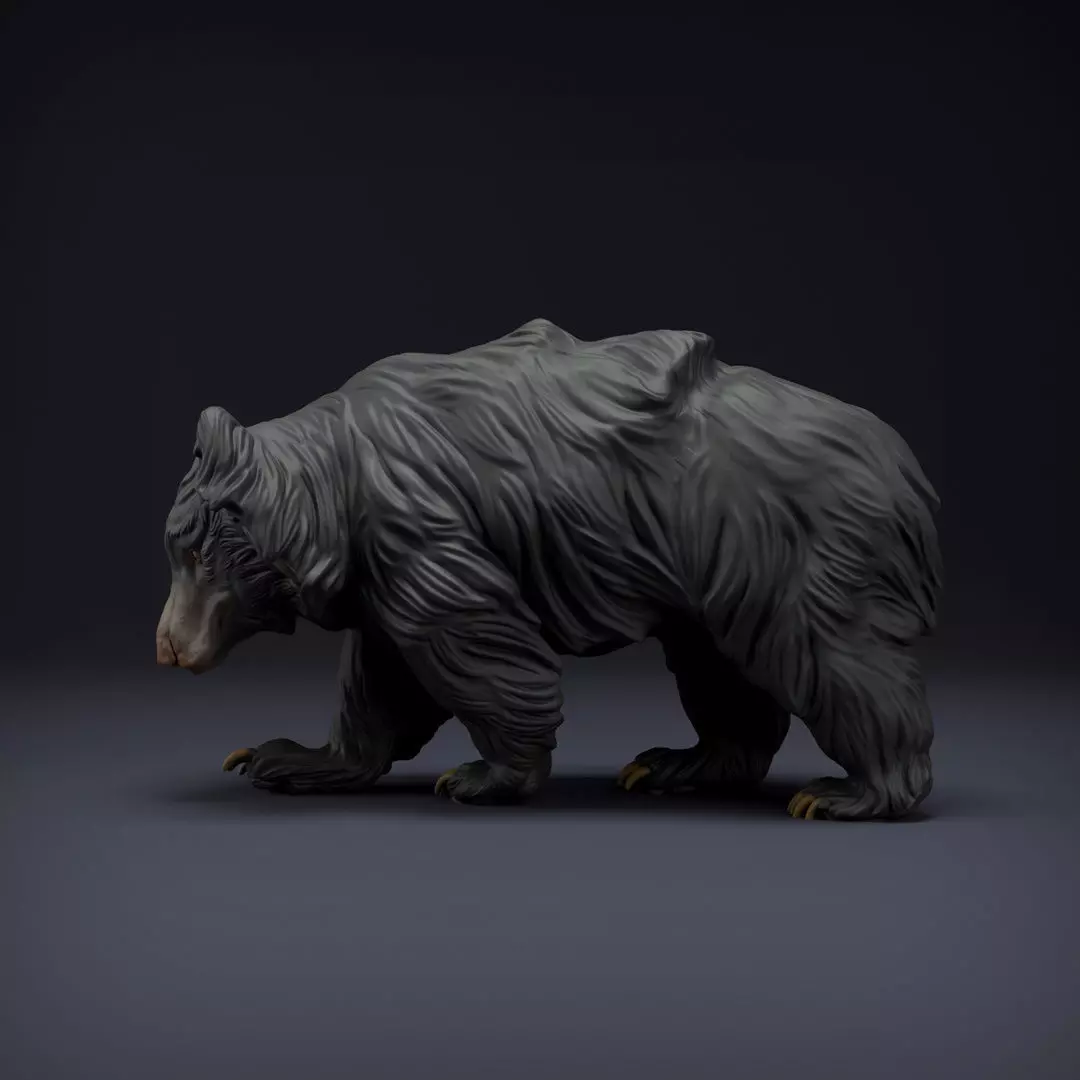 Sloth Bear for 3D Printing 3D print model_0