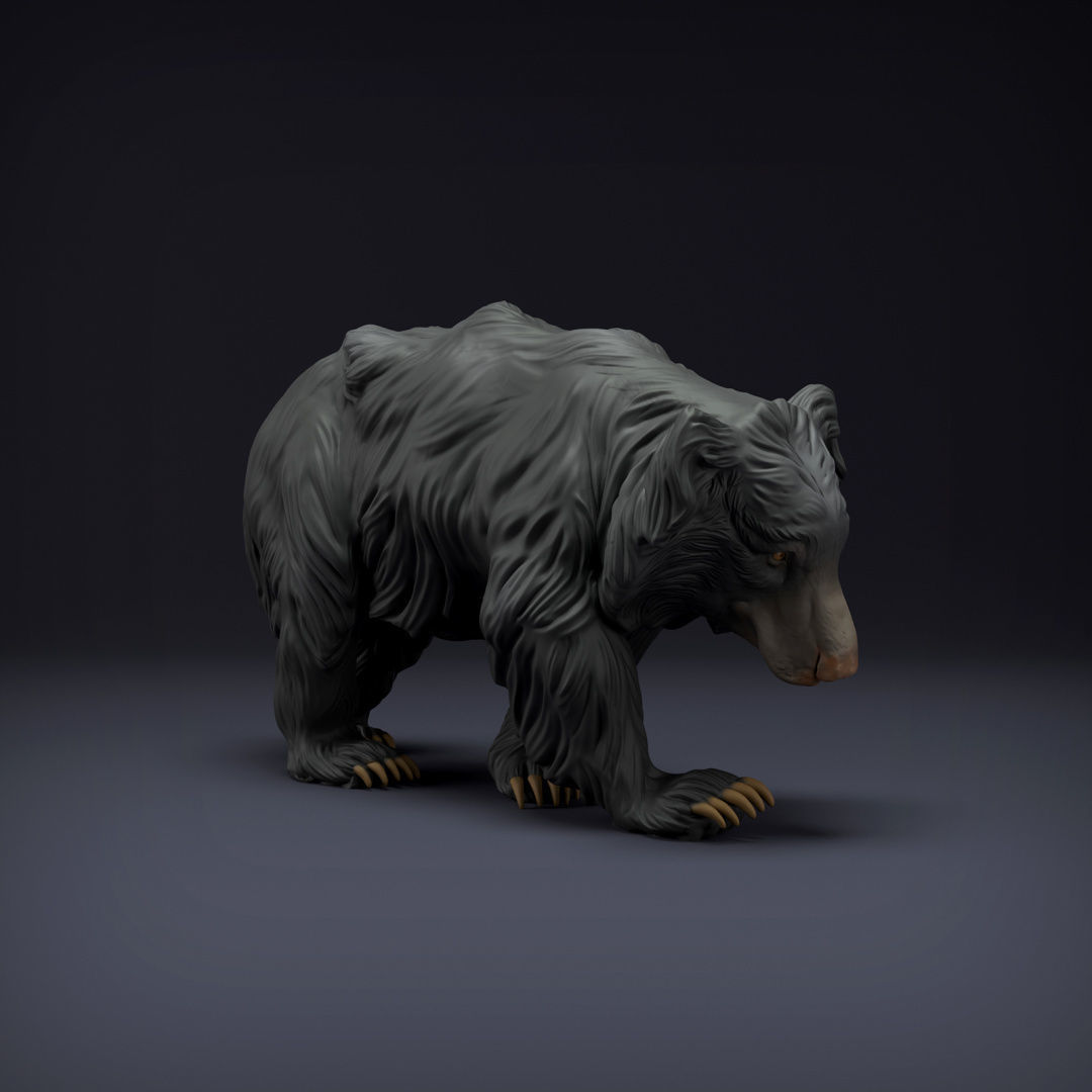 Sloth Bear for 3D Printing 3D print model_3
