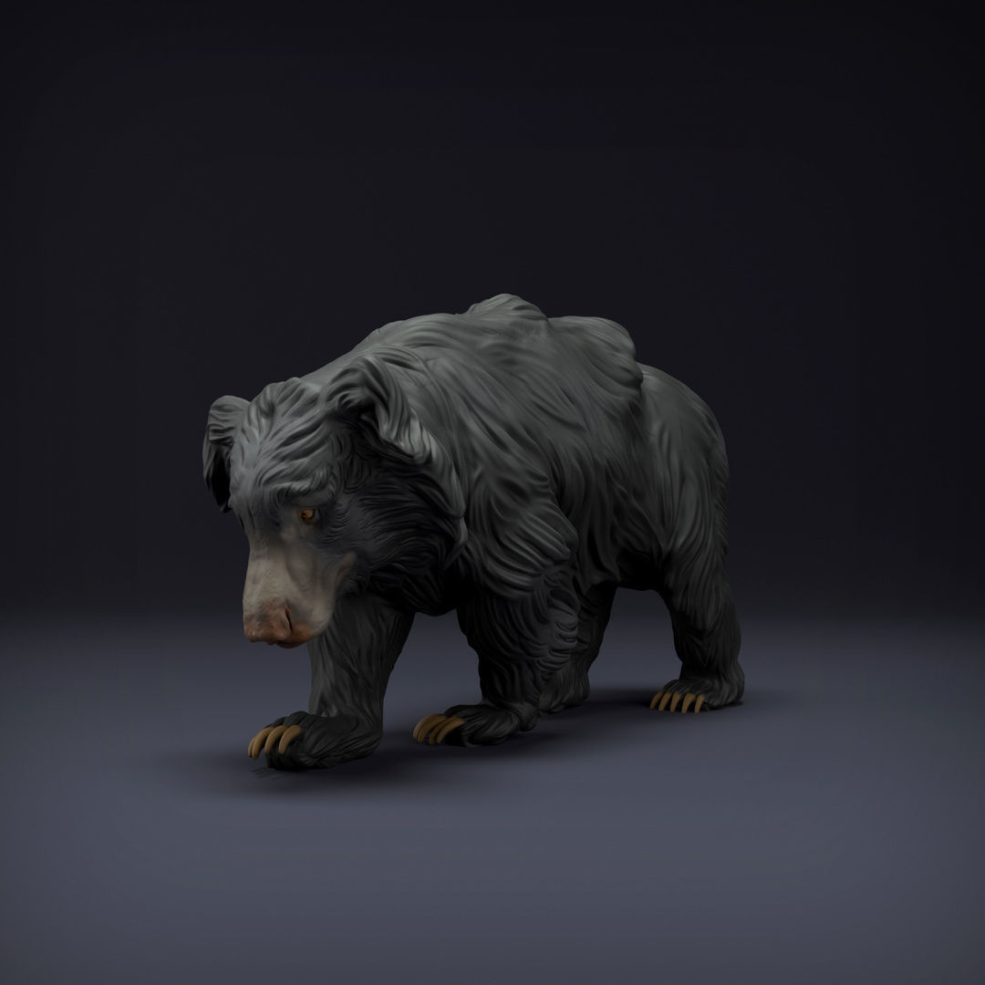 Sloth Bear for 3D Printing 3D print model_1