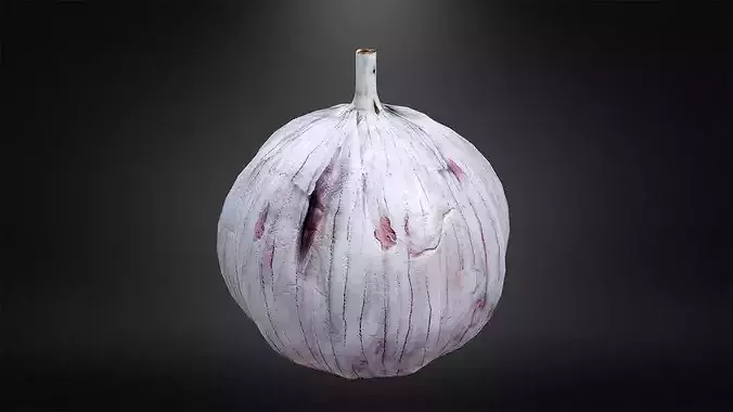 Garlic Low-poly 3D model 7