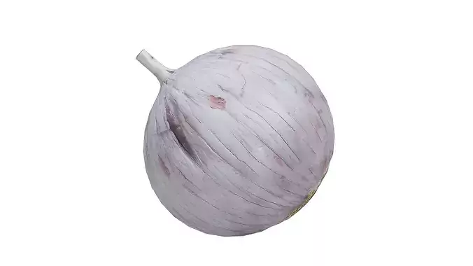 Garlic Low-poly 3D model 5