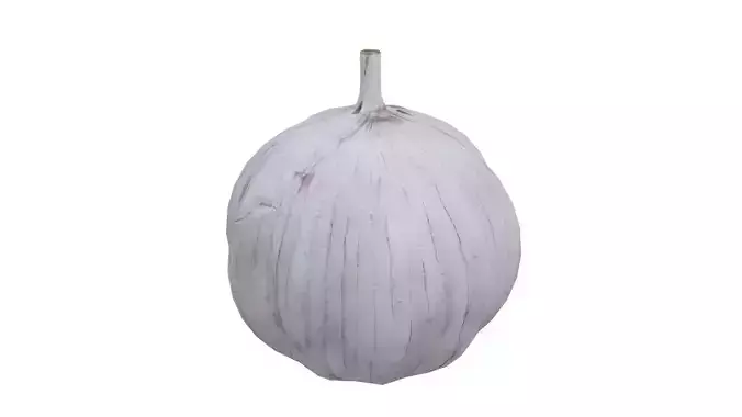 Garlic Low-poly 3D model