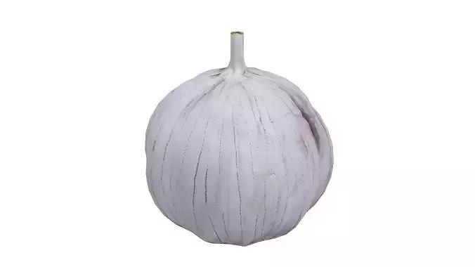 Garlic Low-poly 3D model 3