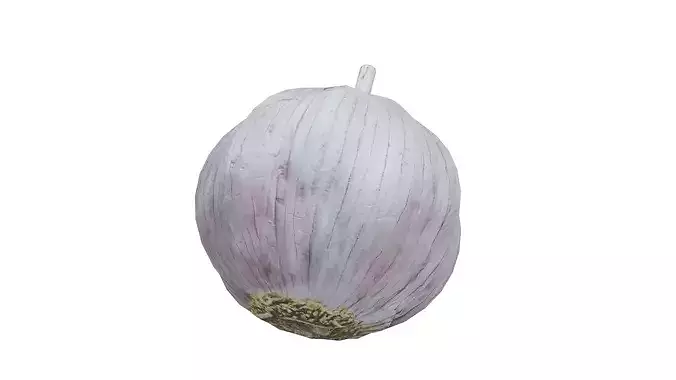 Garlic Low-poly 3D model 4