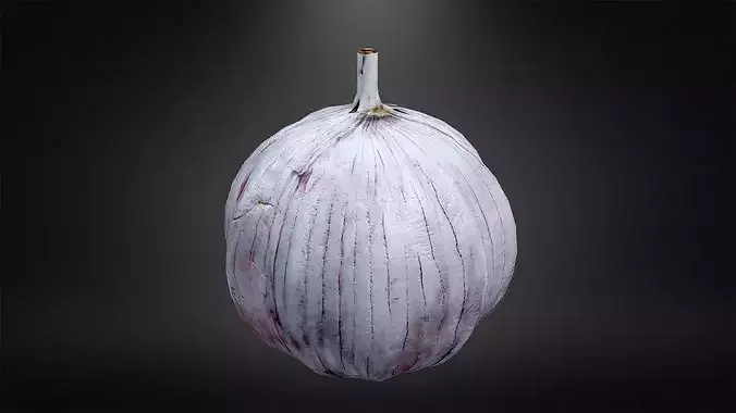 Garlic Low-poly 3D model 6