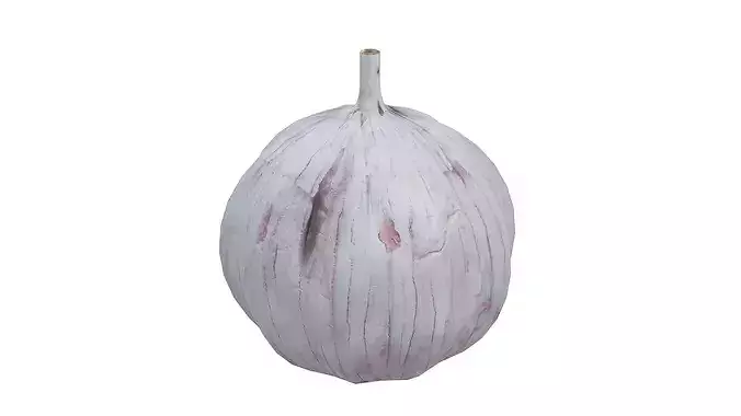 Garlic Low-poly 3D model 2