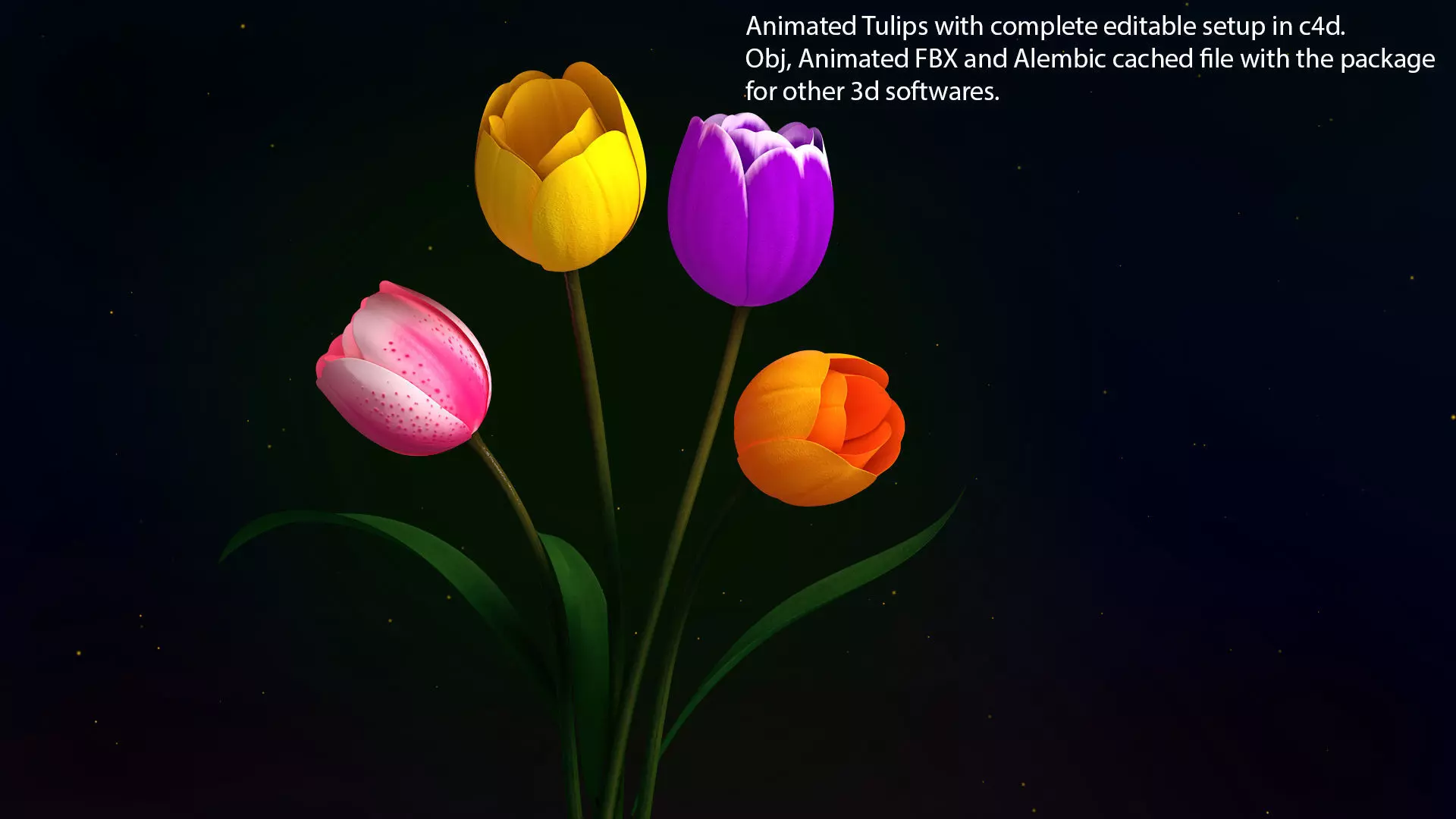 Tulips Flowers Animated 3D model