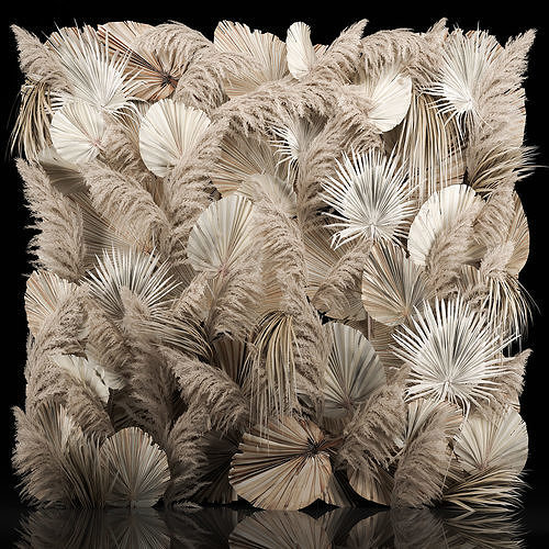 Wedding Decor Arch Wall Dried Flowers Pampas Grass 3D model