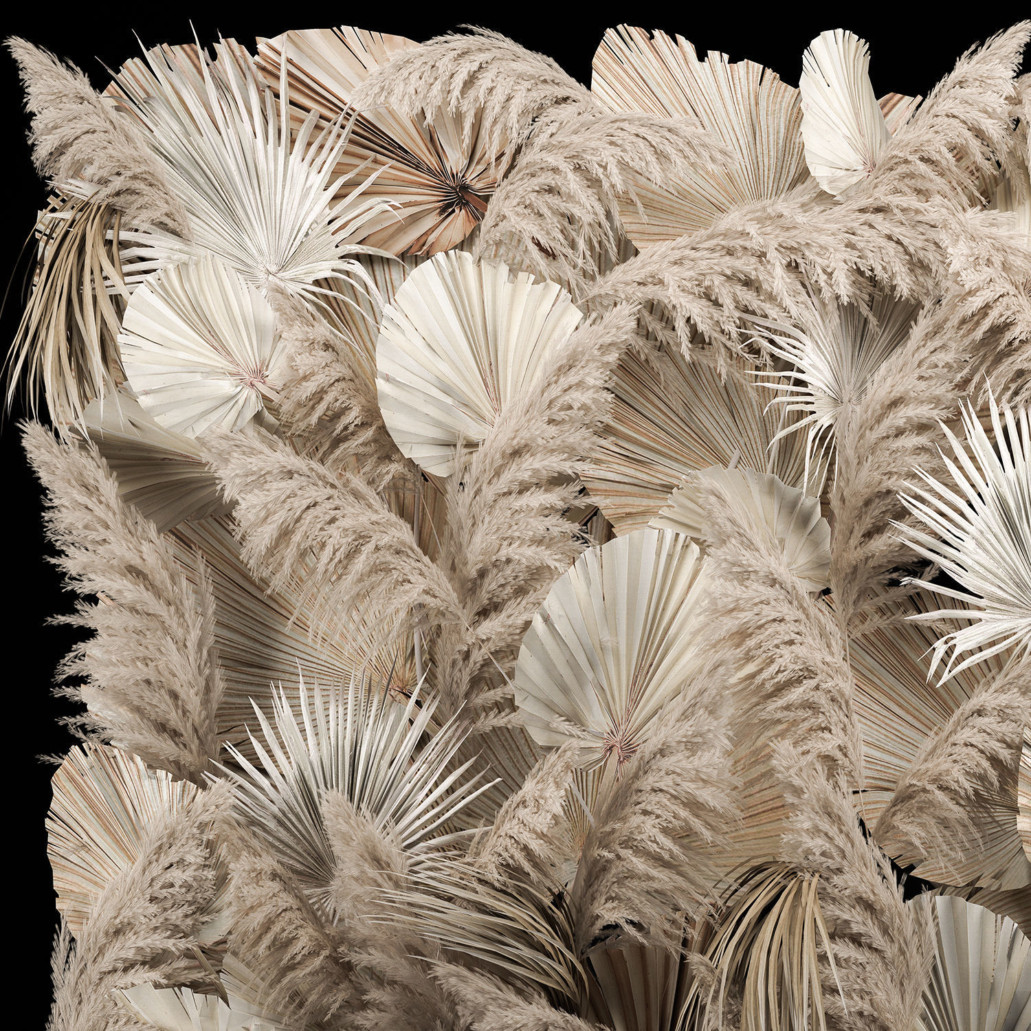 Wedding Decor Arch Wall Dried Flowers Pampas Grass 3D model_1