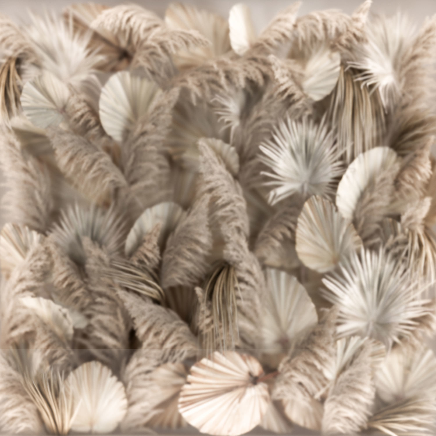 Phyto Wall Of Dry Palm Leaves And Pampas Grass 3D model_3