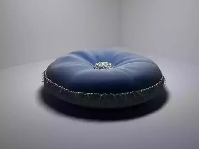 a sofa cushion