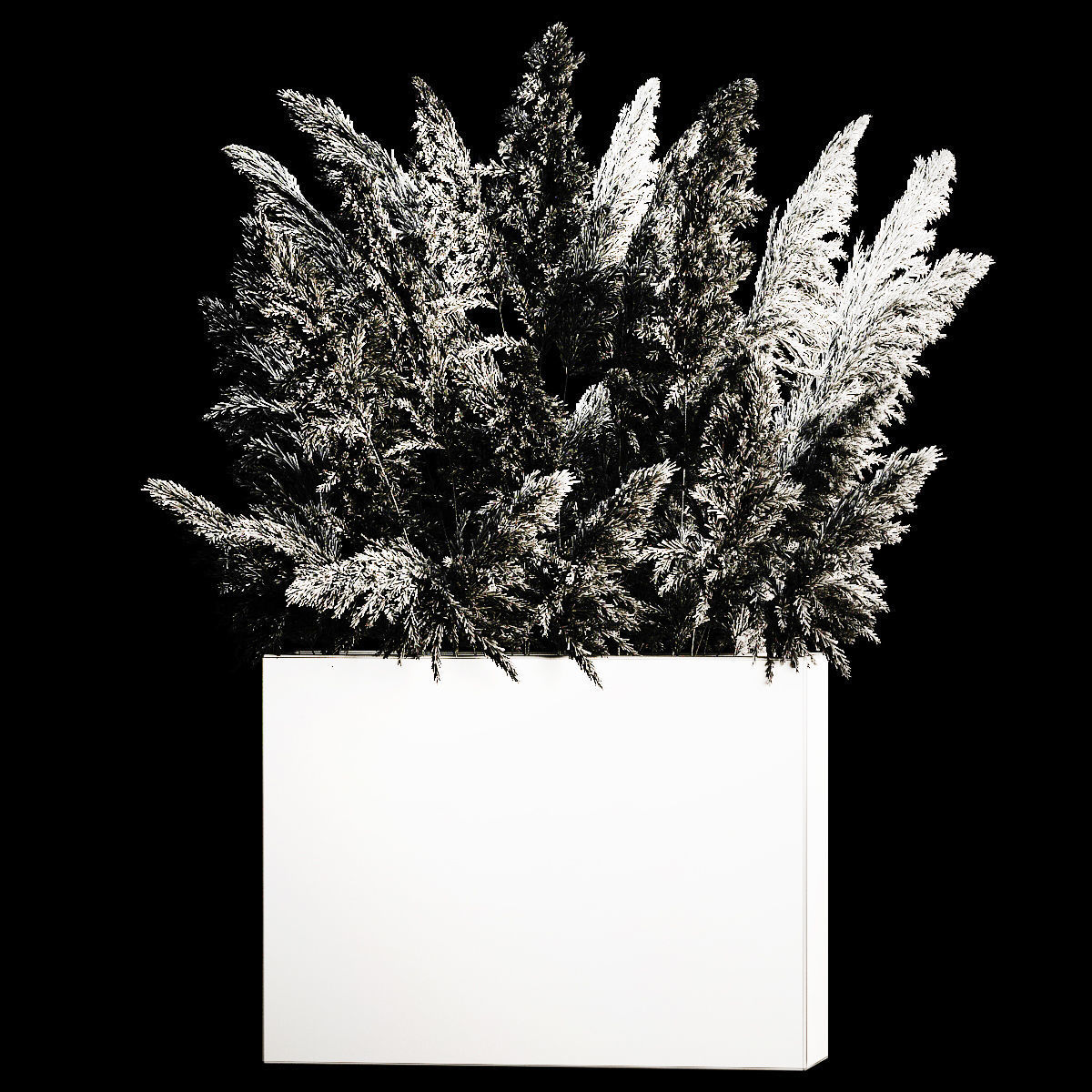 Decorative white Pampas Grass In A Rusty Pot 3D model_5