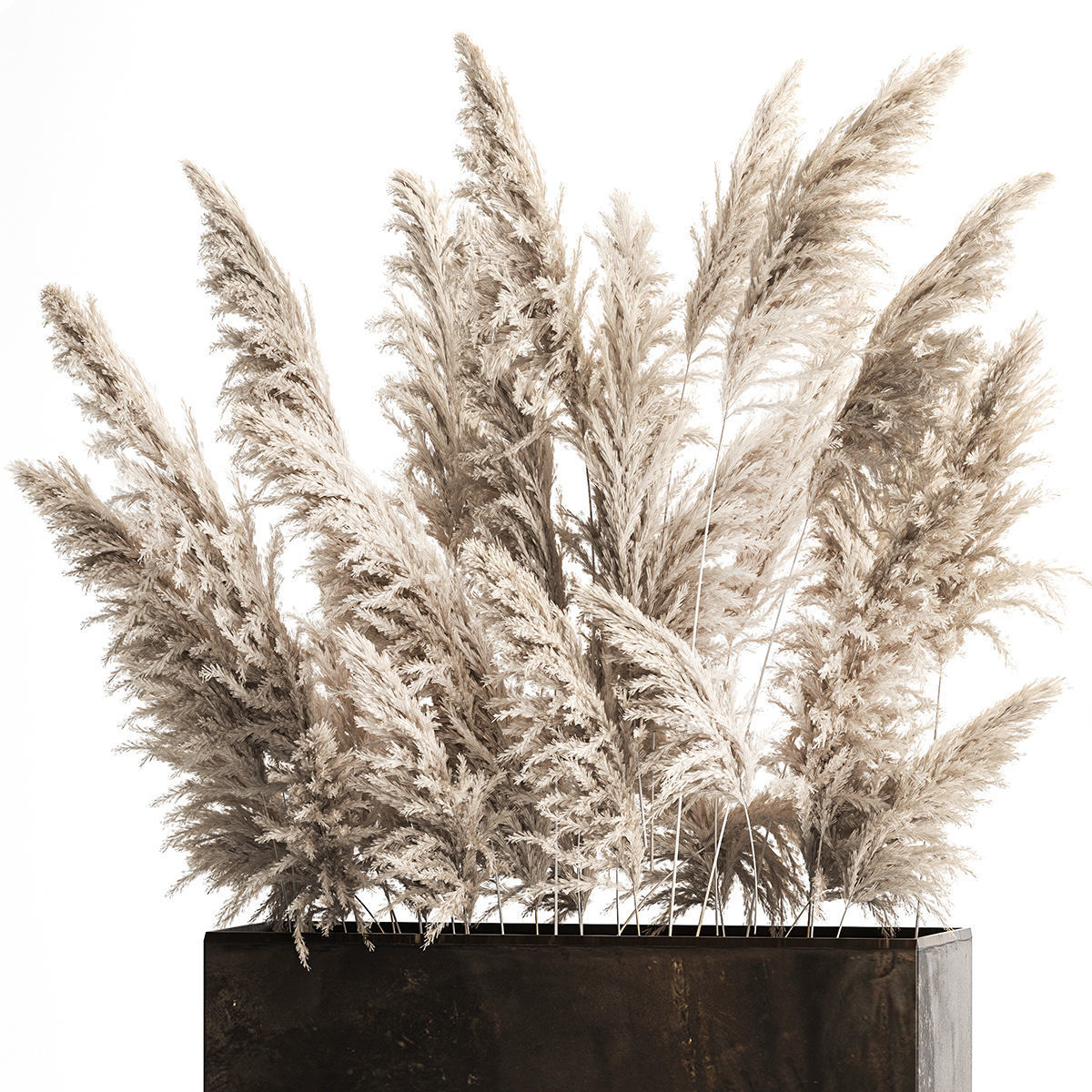 Decorative white Pampas Grass In A Rusty Pot 3D model_3