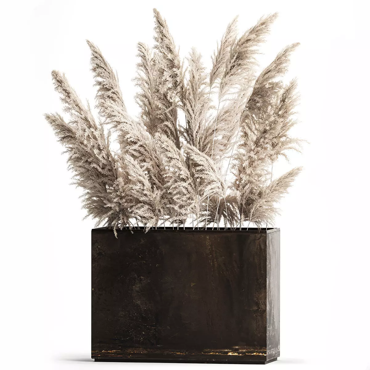 Decorative white Pampas Grass In A Rusty Pot 3D model_0
