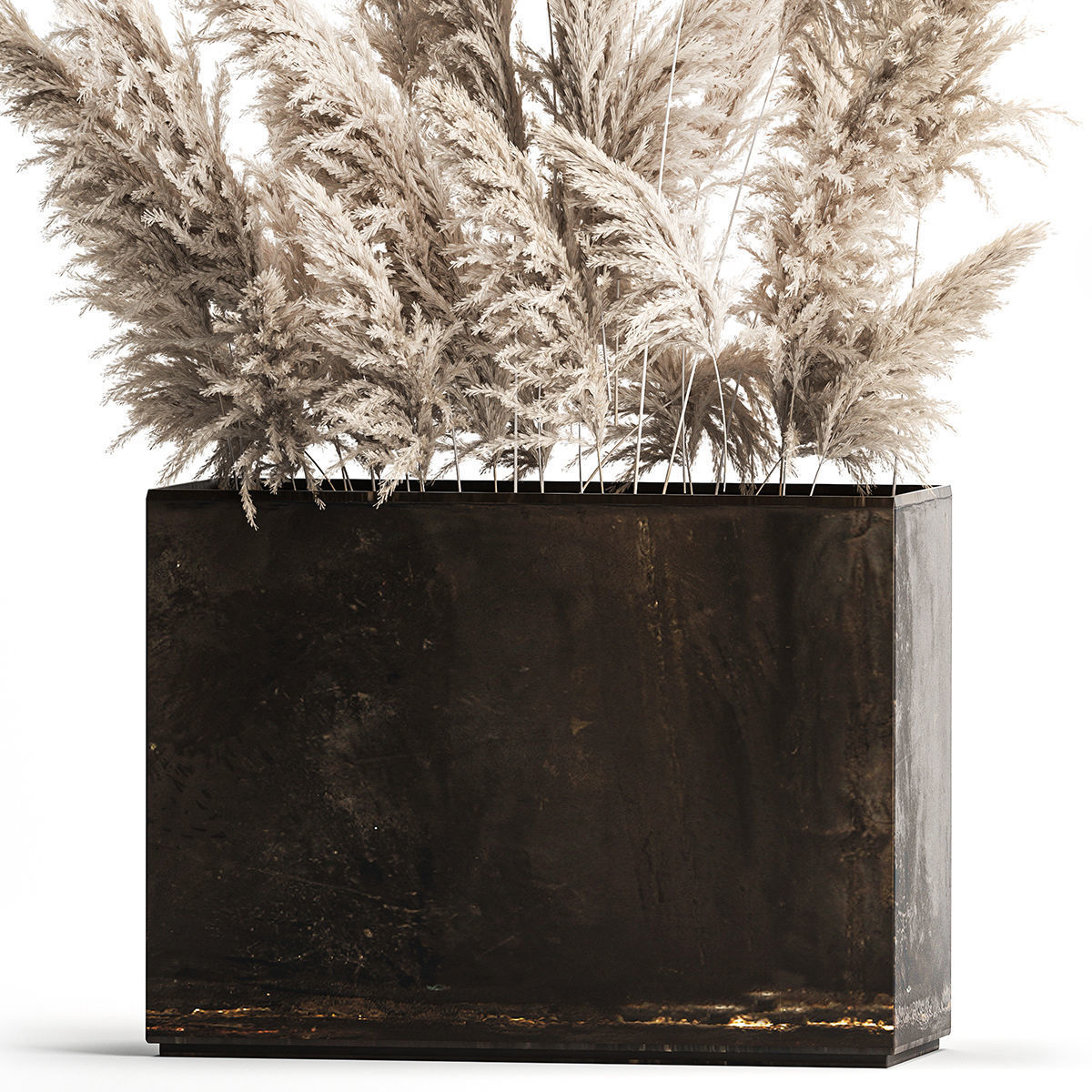 Decorative white Pampas Grass In A Rusty Pot 3D model_2