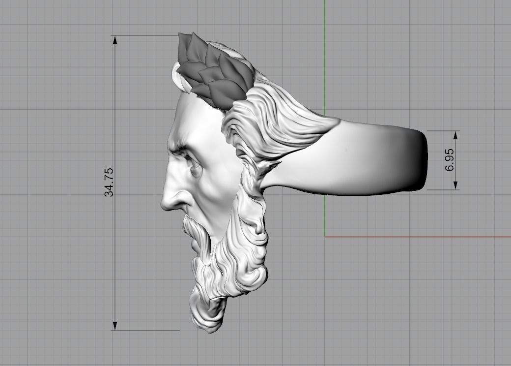 Ring Zeus  3D print model_7
