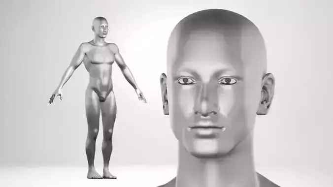 Humano Man Base Mesh Rigged with white texture