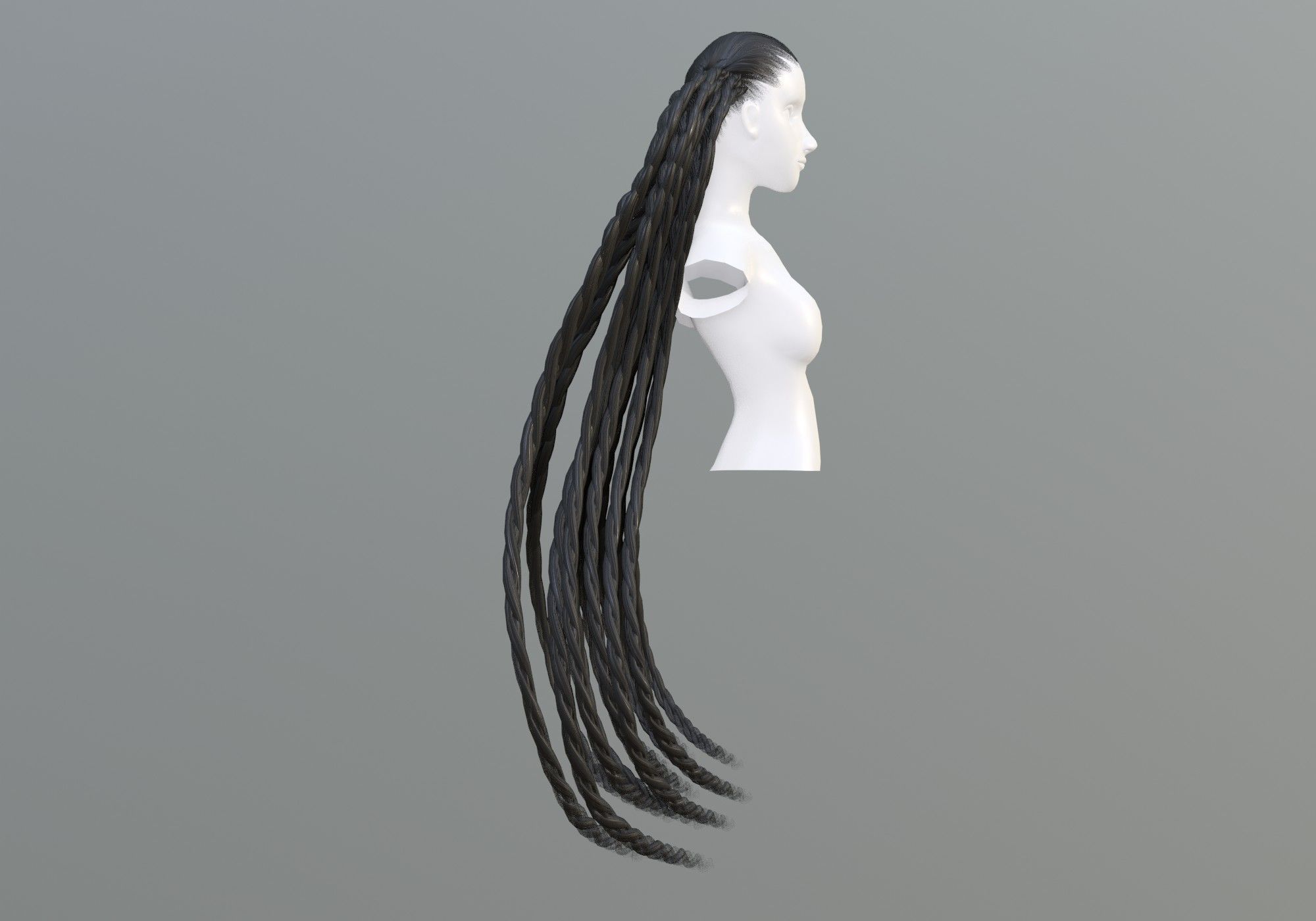Two Braids Hair 3D model_2