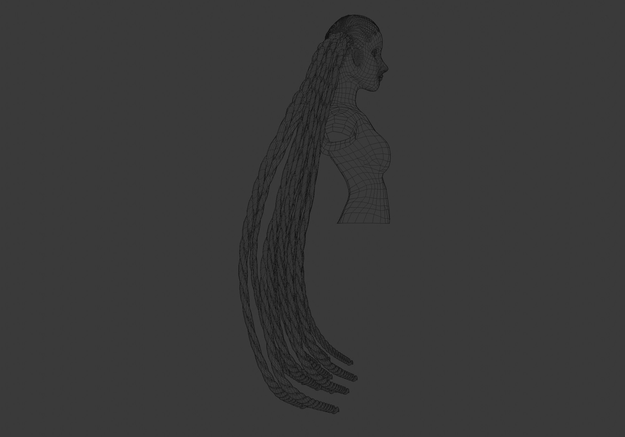 Two Braids Hair 3D model_7