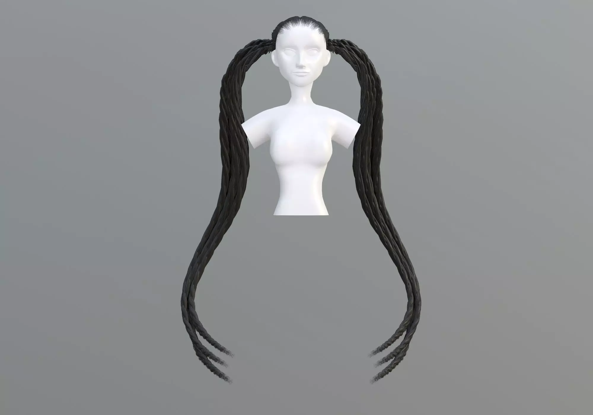 Two Braids Hair 3D model_0