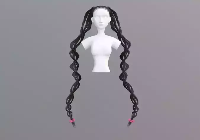 Ponytails Fancy Hairstyle 