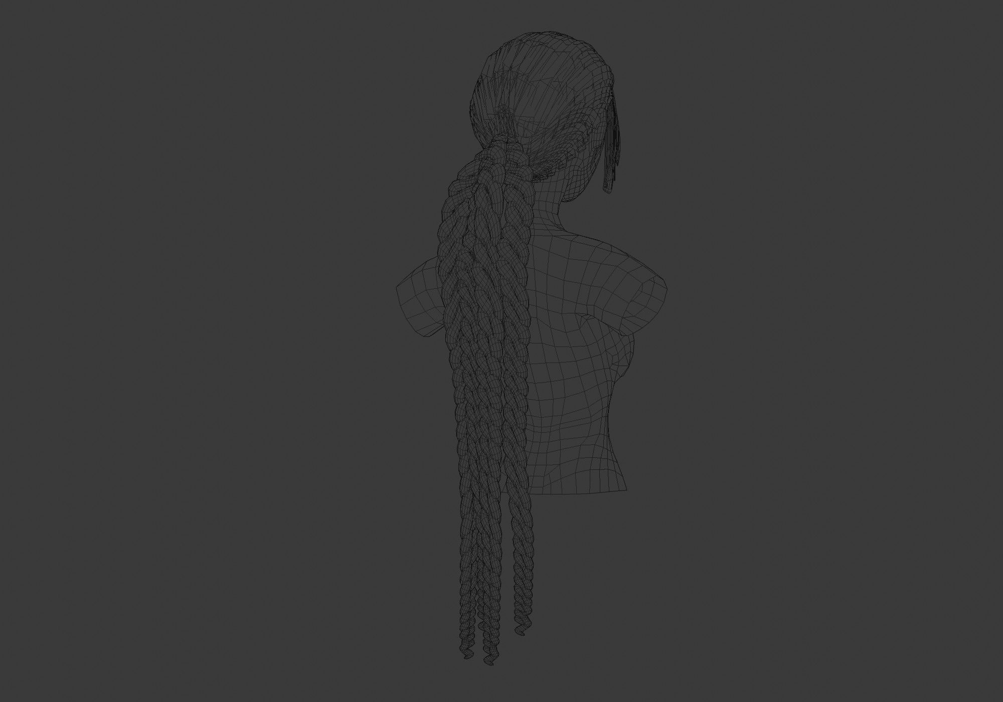 Ponytail Female Hairstyle  3D model_5