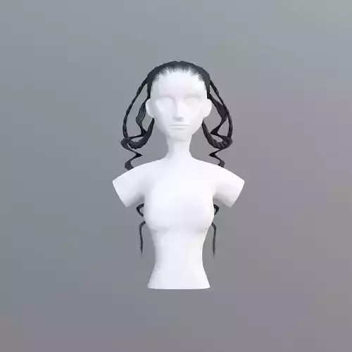 Pigtails Stylized Hair 