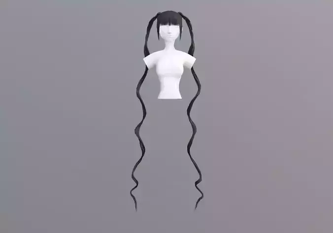 Pigtails Long Hairstyle 