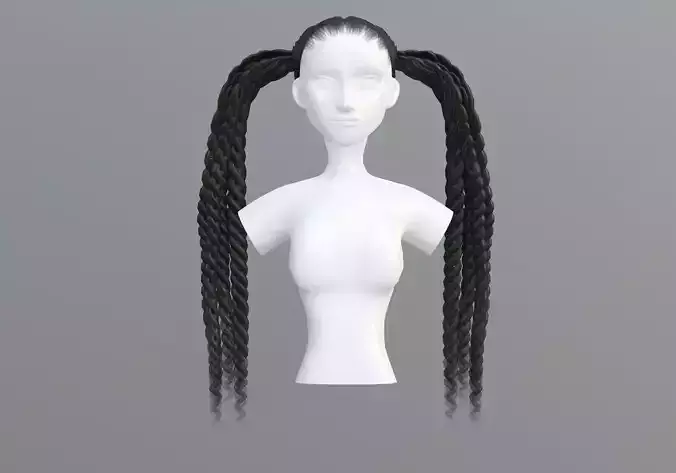 Pigtails Braids Hairstyle 