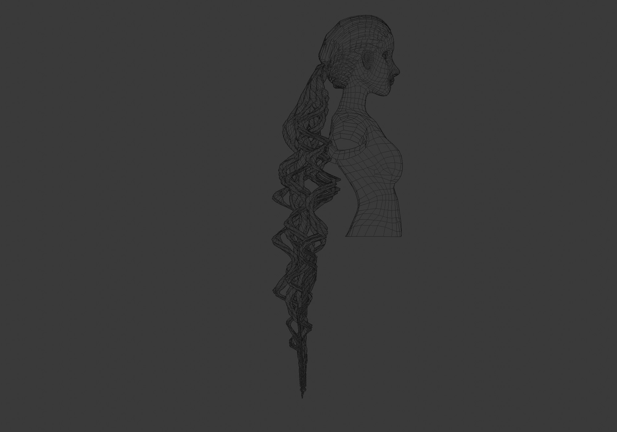 Pigtail Long Hair  3D model_7