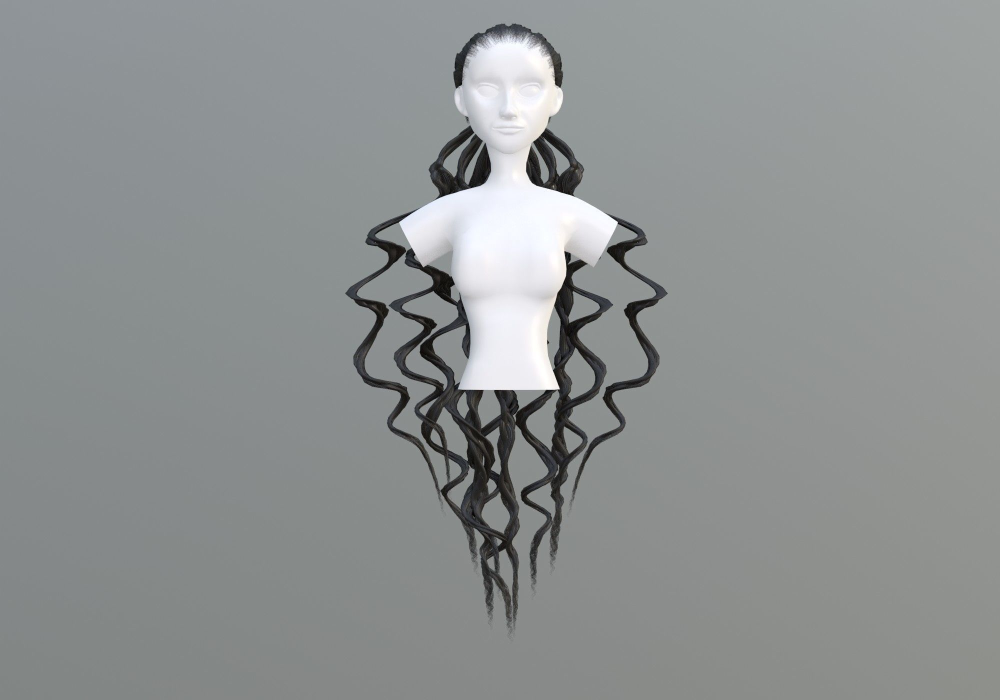 Pigtail Long Hair  3D model_1