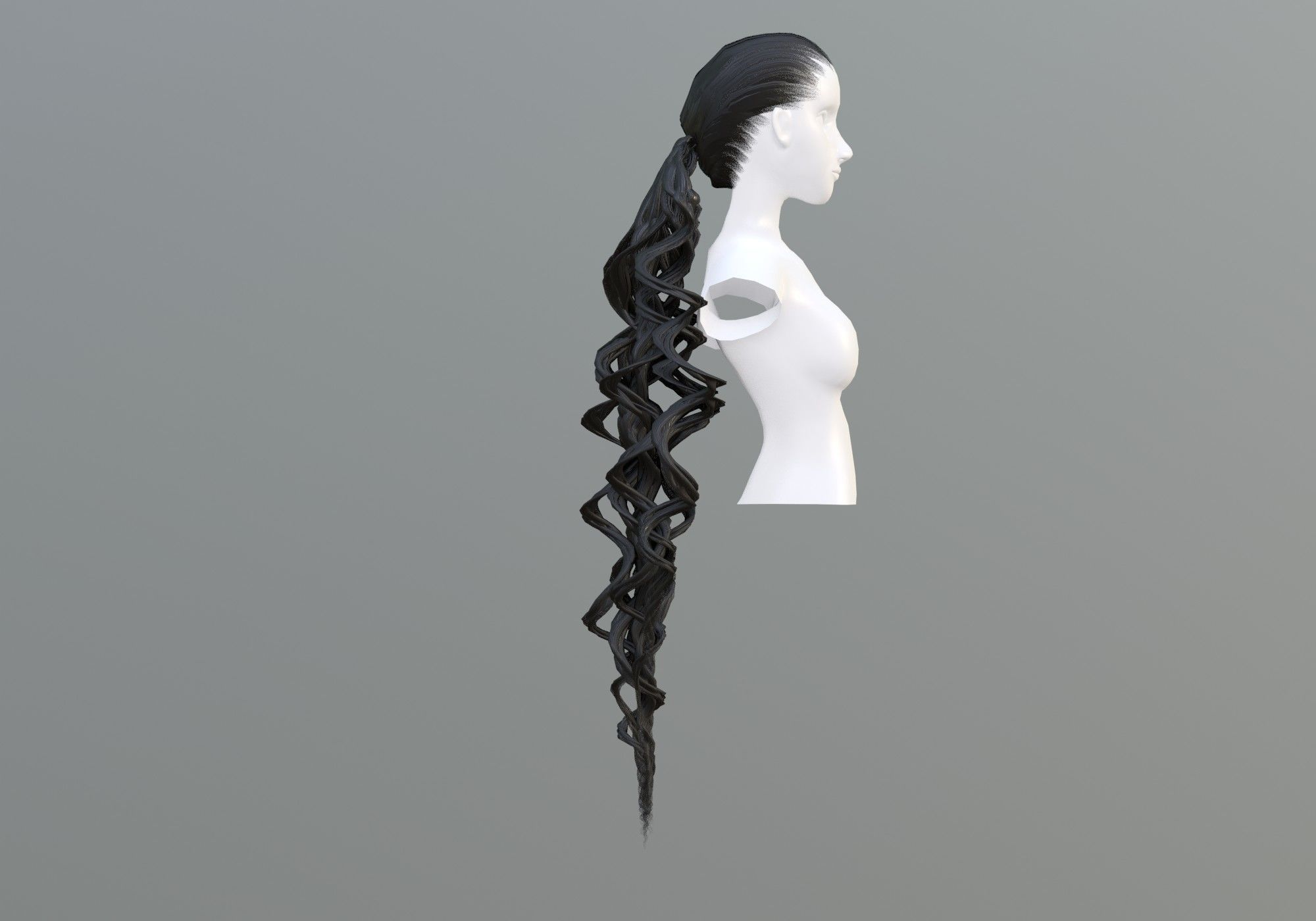 Pigtail Long Hair  3D model_2