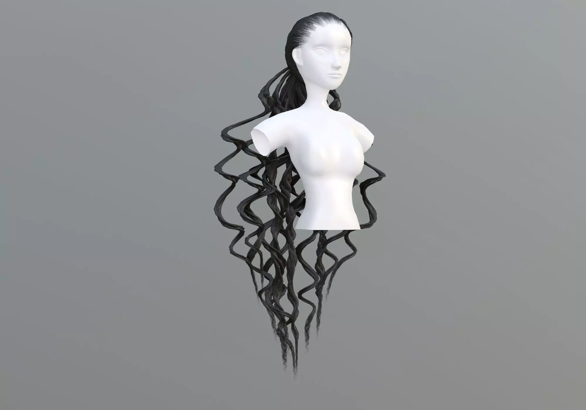 Pigtail Long Hair  3D model_0