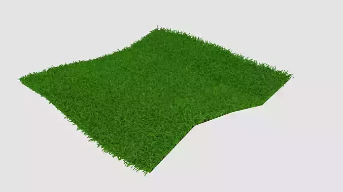 Grass